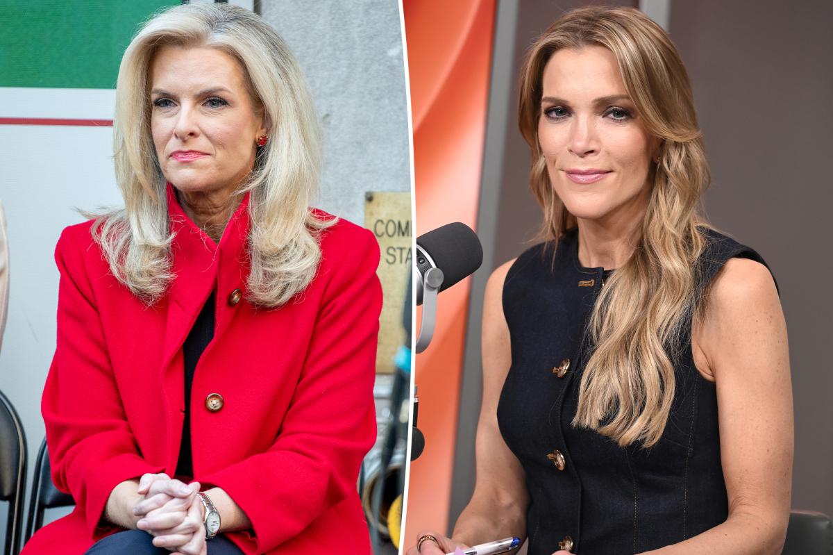 Janice Dean Calls Out Megyn Kelly's 'Mean Girl' Attack on MS Community