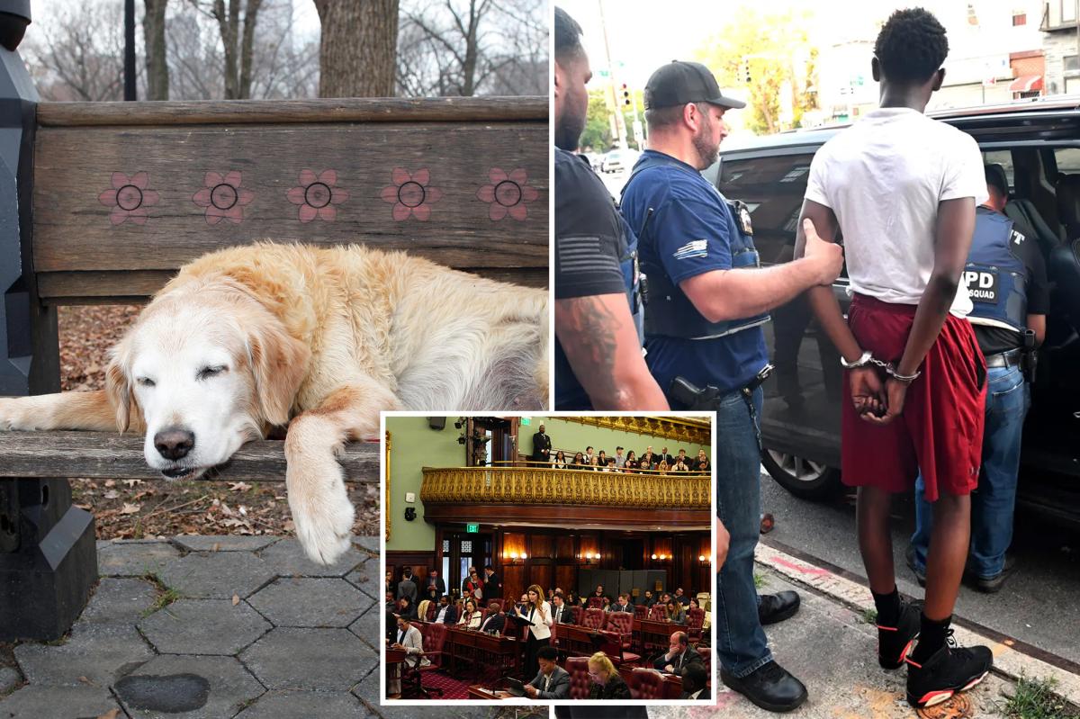 NYC's Controversial Proposals: Sick Leave for Pets and an Elephant Ban