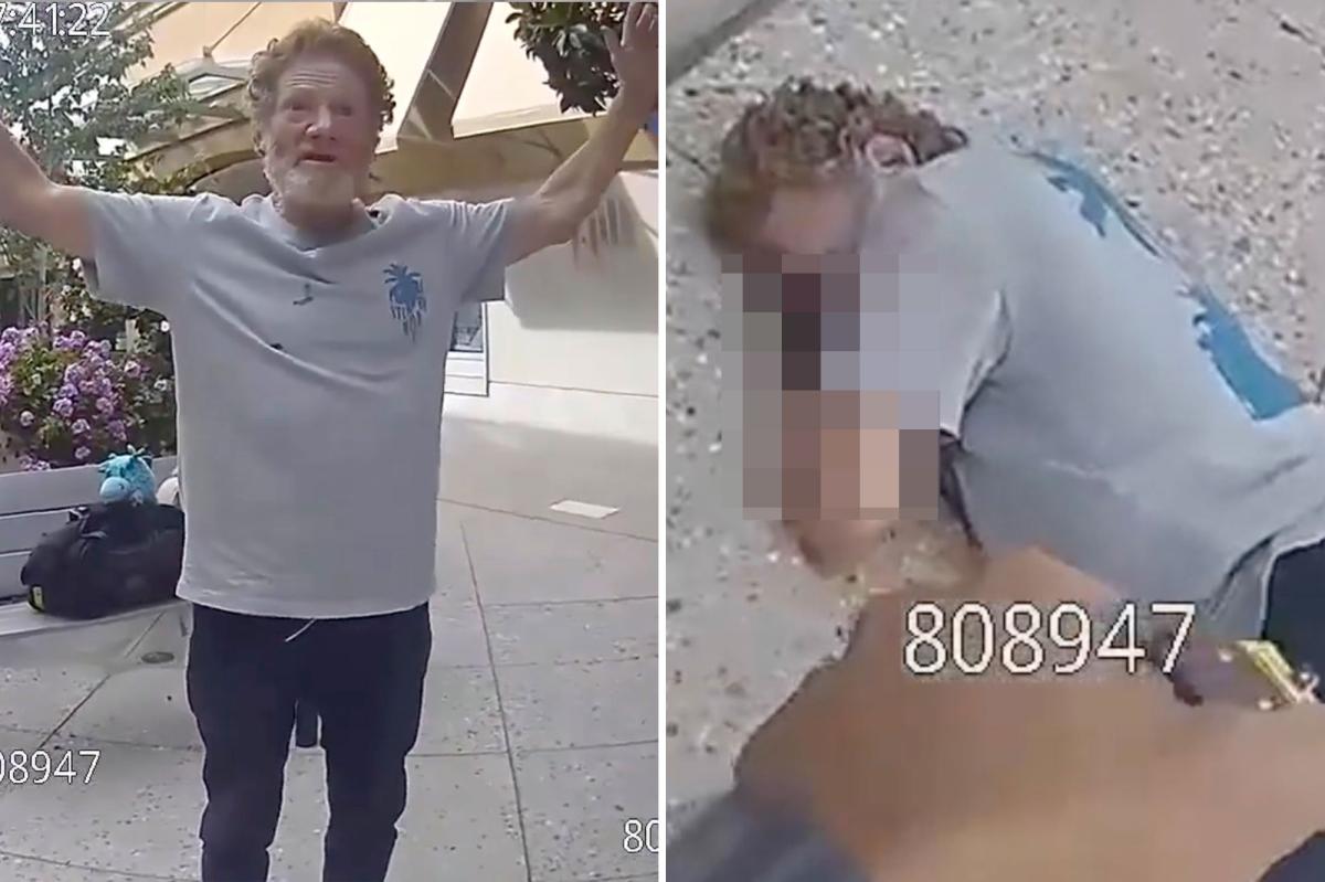 Palo Alto Tasing Incident Sparks Outrage After Shocking Video Release