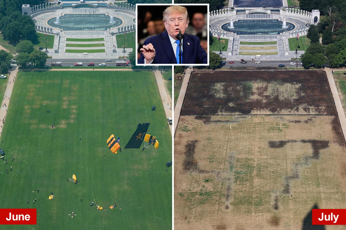 Trump's Bold Claim: Vandals to Blame for Dead Grass at July 4th Event