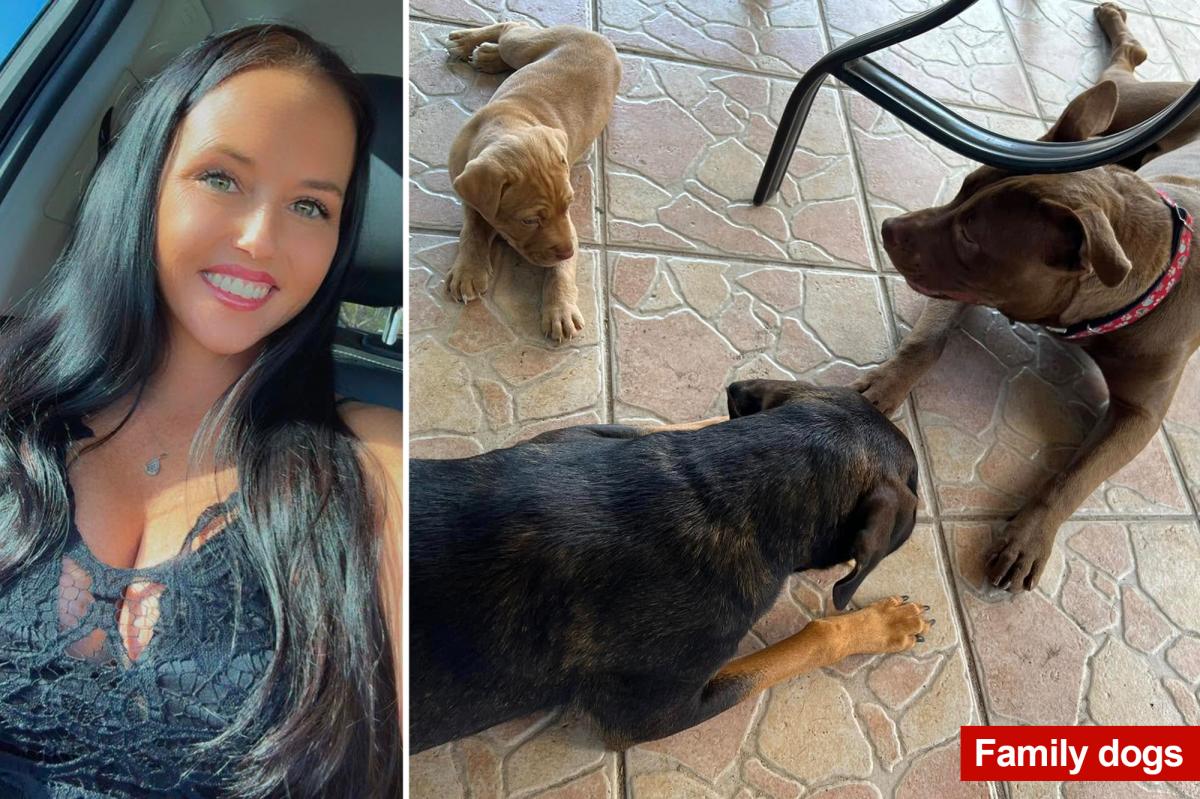 Florida Mom's Shocking Allegations: Was She Framed by Her Ex?