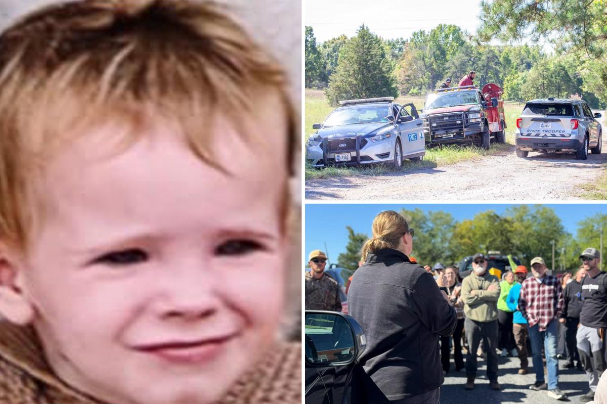 How a Missing Virginia Toddler Was Found After a Massive FBI-Led Search