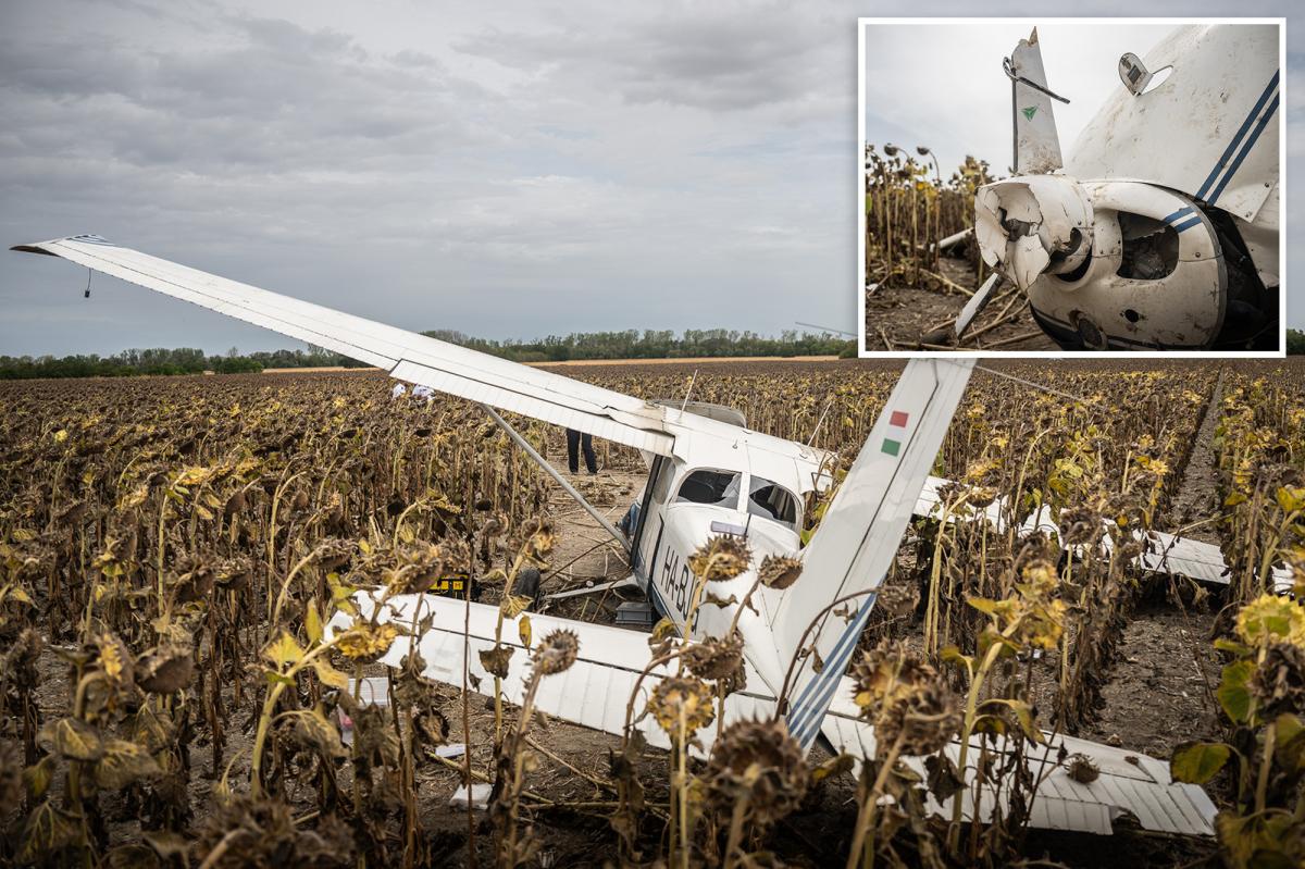 Drunk Pilot's Stunt Near Nuclear Plant Leaves Hungary on Edge