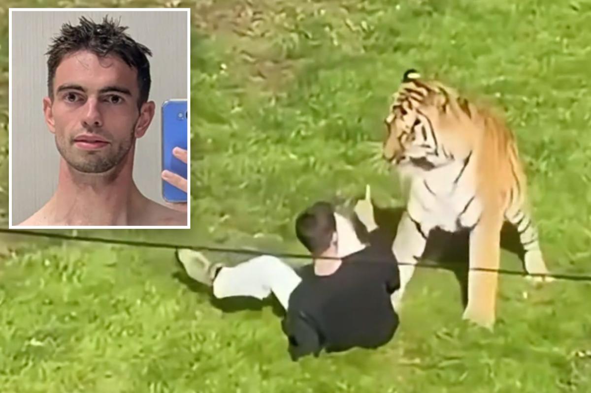 The Tragic Last Moments of William Chapman: What Really Happened?