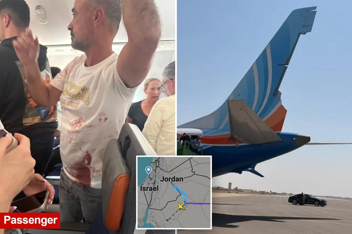 Pilot Stabbed Mid-Flight: The Terrifying 18K-Foot Plunge