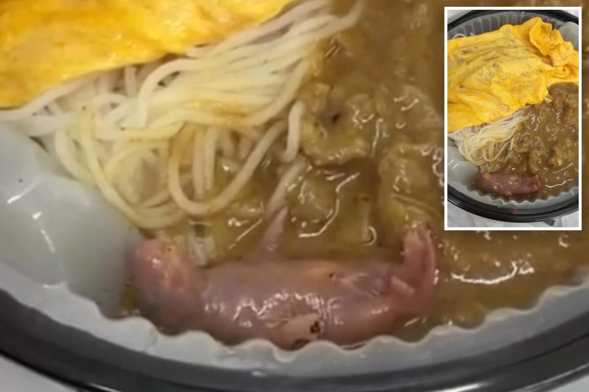 Newborn Rat Found in Takeout Meal Sparks Outrage in Hong Kong