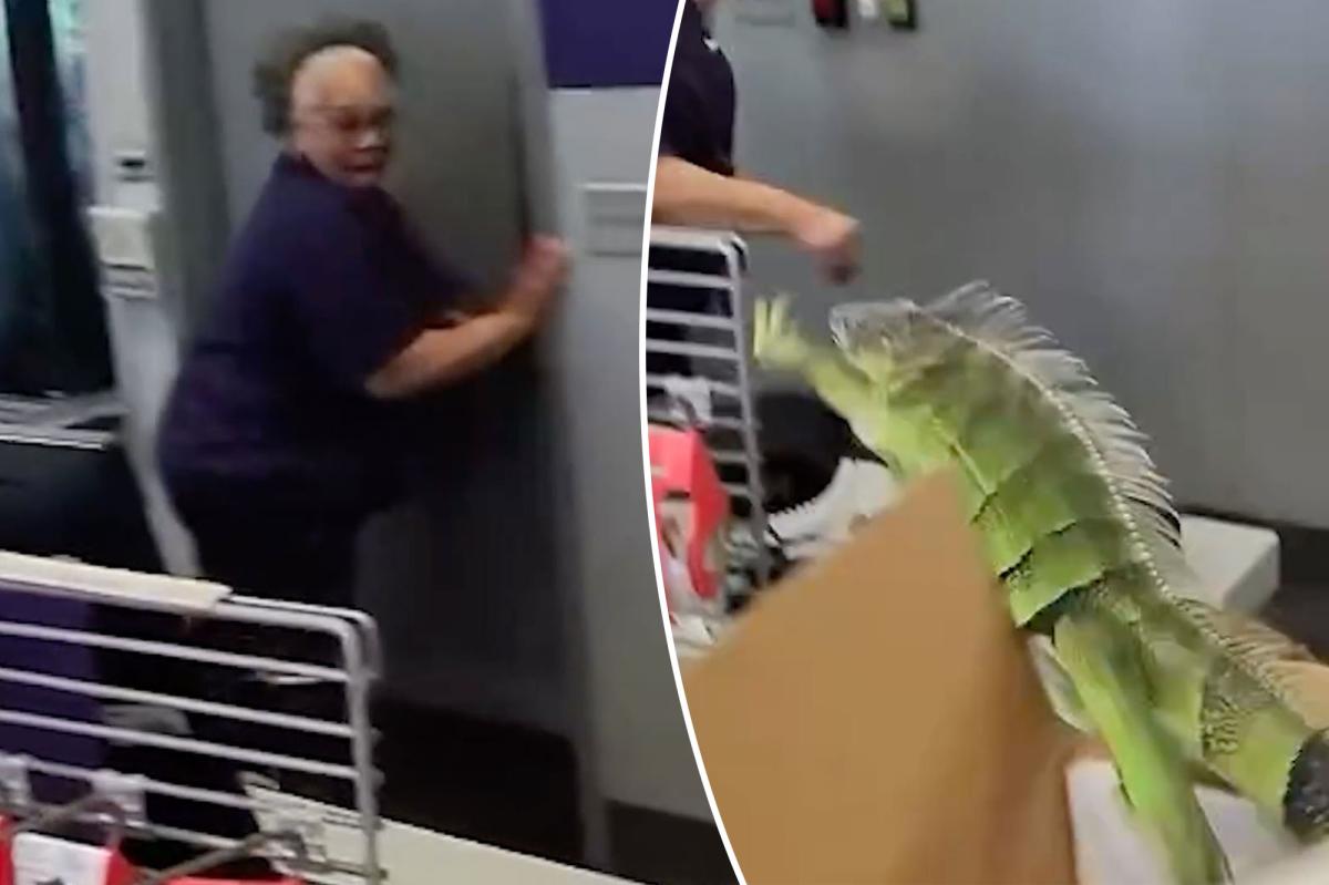 Iguana Chaos at FedEx: Surprise Leap Sends Employees Scattering