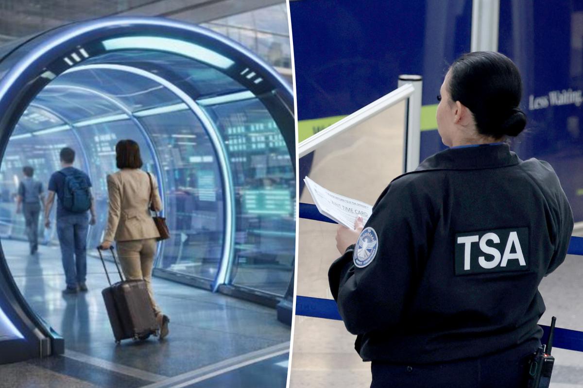 Why These US Airports Are Turning to Private Security