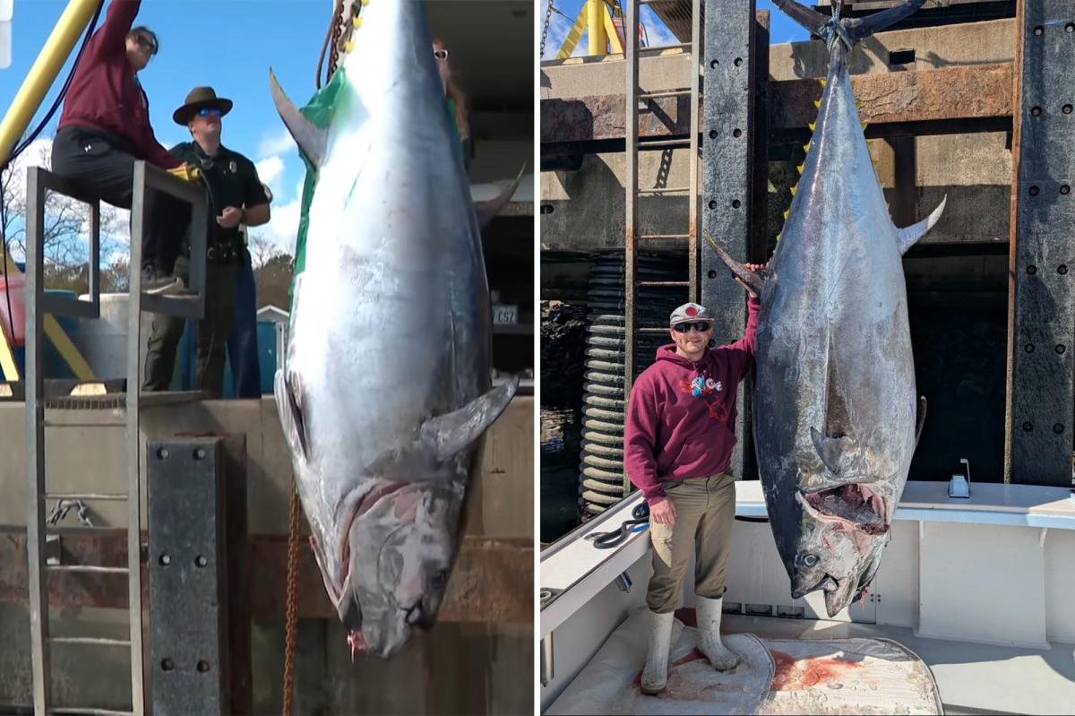 New Hampshire Fisherman Stuns with 1,116-Pound Bluefin Tuna Catch