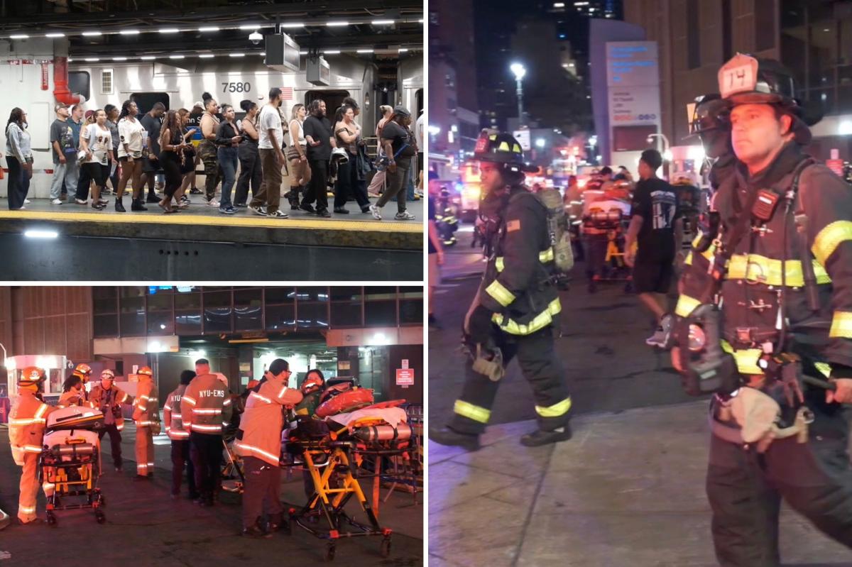 700 Chris Brown Fans Stranded on Train: The Nightmare Journey Home