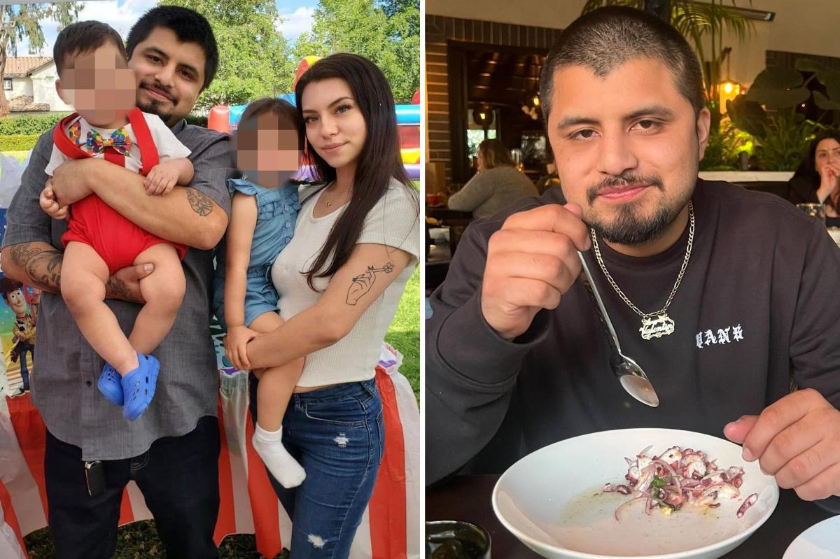 Heartbroken Family Seeks Answers After Father's Tragic Park Stabbing