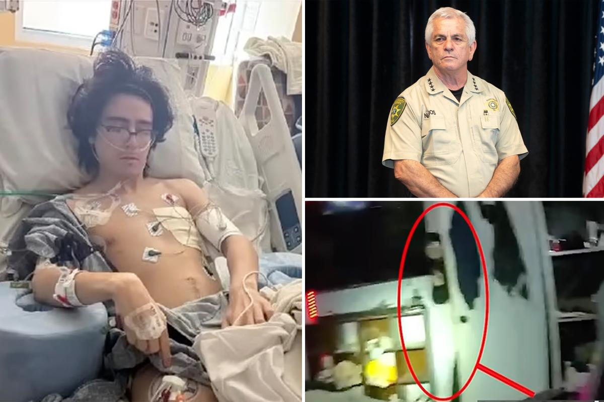 Sheriff Faces Backlash After $176 Million Lawsuit Over Botched Swatting Incident