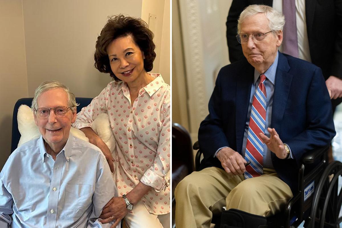 Mitch McConnell's Recovery Sparks Reactions After New Photo with Elaine Chao