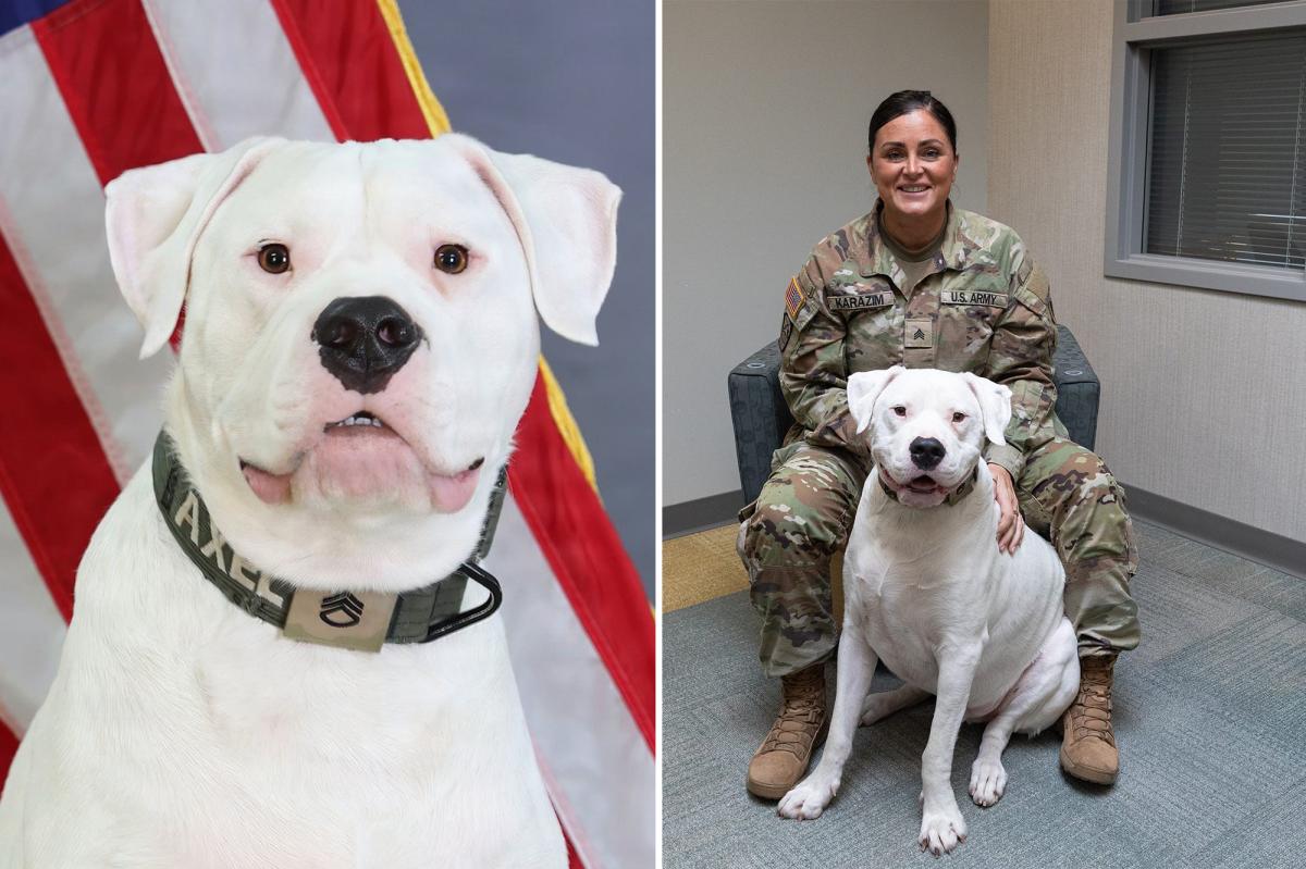 Deaf Dog Axel Prepares for Deployment with Michigan National Guard
