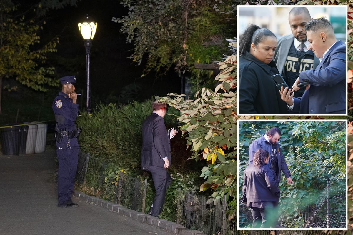 Why Central Park's Latest Incident Has Locals on Edge