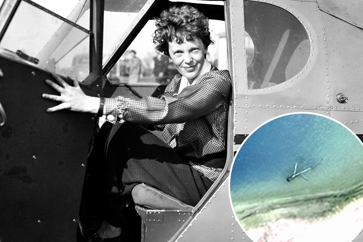 Amelia Earhart's Plane: Could Giant Crabs Hold the Key?
