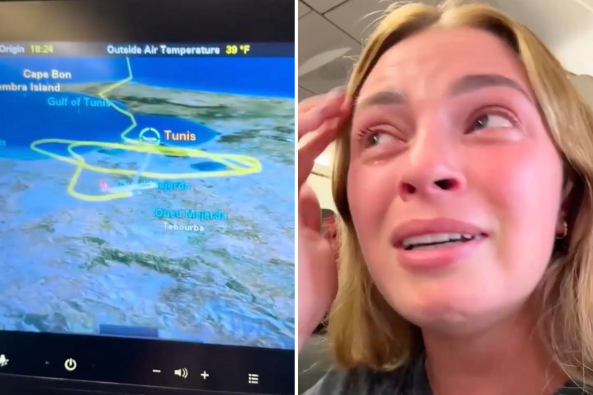 Terrifying Descent: Passengers Panic as Turkish Airlines Flight Plummets