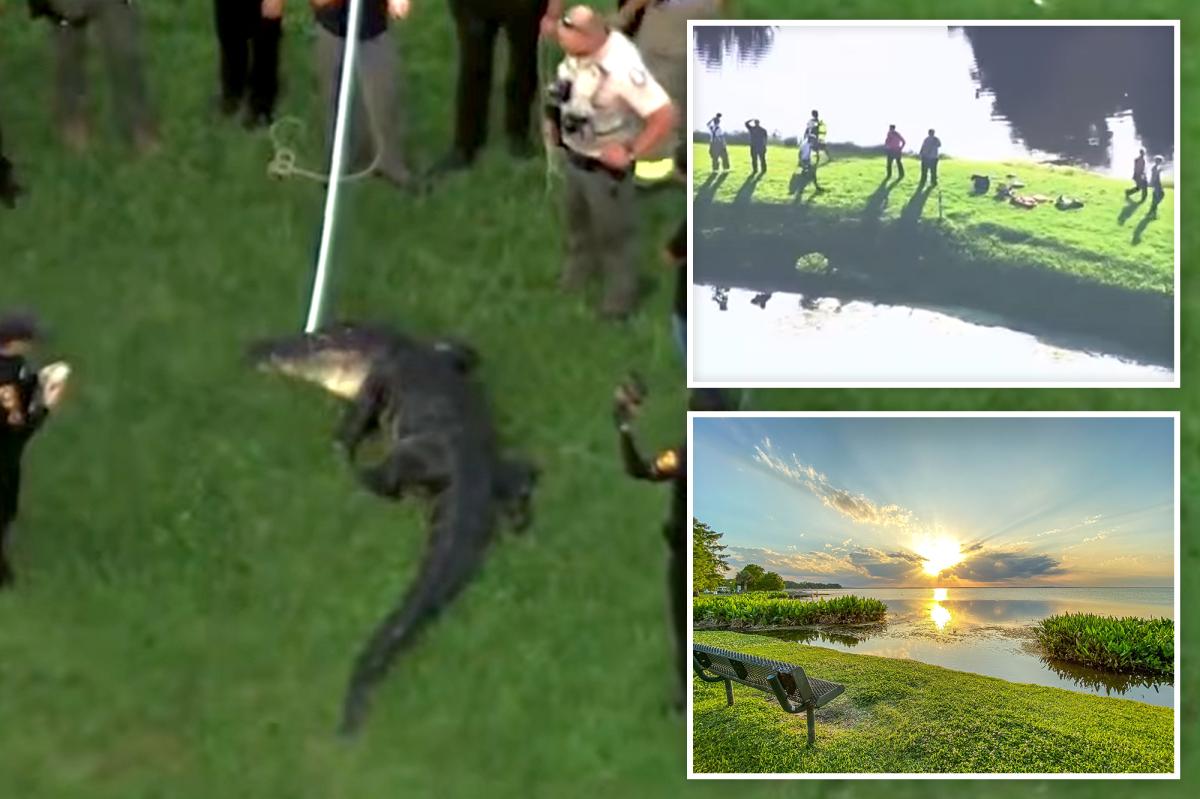 Tragic Encounter: 71-Year-Old Fisherman Killed by Massive Alligator in Florida